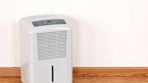 Humidifier as Silverfish Control Strategies for Your Home